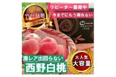 《市場に出回らないレアな西野白桃》人気品種指定ギフト4年連続TV出演話題ブランド2025年7月中旬発【1465270】