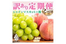 ＜発送月固定定期便＞訳あり ご家庭用 山梨県産 桃・シャインマスカット 全2回【4009880】