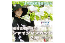農園直送!厳選!山梨産シャインマスカット2房(1kg以上)【1481228】