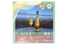 山梨 はぎふる ノンアルコールスパークリング シャインマスカット 300ml×2本 (化粧箱入)【1482160】