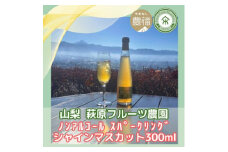 山梨 はぎふる ノンアルコールスパークリング シャインマスカット 300ml×2本 (化粧箱入)【1482160】