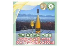 山梨 はぎふる ノンアルコールスパークリング シャインマスカット 500ml×2本 (化粧箱入)【1482162】