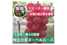 2025年9月下旬発送「幻の牧丘天空ヌーベルローズ」 約1kg(3～4房)【1473354】