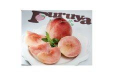 山梨県産白桃2kg箱(5～8玉)【1484521】