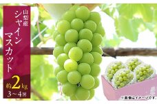 山梨市 シャインマスカット(約2kg)3～4房入り 化粧箱入り ふるさと納税【1484816】