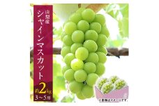 ＜2026年発送 先行受付＞山梨市 シャインマスカット(約2kg)3～5房入り 化粧箱入り【1484816】