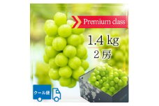 山梨市 プレミアムシャインマスカット(約1.4kg)大房2房入り 化粧箱入り【1484817】
