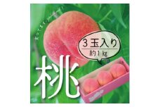 ＜2026年 先行受付＞山梨直送!完熟桃3玉入り  ギフト化粧箱入り お試しにちょうどいいサイズ【1485567】