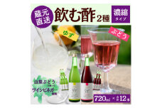 お酢のイメージを変える!ドリンクビネガー2種12本セット(濃縮タイプ飲む酢/山梨産ビネガー使用)【1488390】