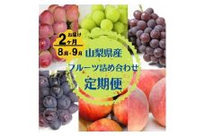 ＜発送月固定定期便＞旬のお任せフルーツボックス定期便全2回【4011794】