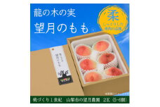 柔らかめの品種の桃・2K(5~6個)「龍の木の実 望月のもも」【1489722】