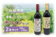 ＜山梨市産＞赤ワインセット(4)【1490185】