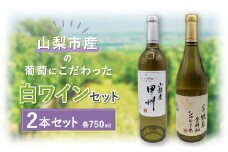 ＜山梨市産＞白ワインセット(2)【1490196】