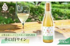 ＜山梨市産シャインマスカット100%使用の贅沢白ワイン!＞ 農(みのり)ワイン＜キリッと辛口＞【1474714】