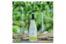 ＜山梨市産シャインマスカット100%使用＞ 農(みのり)果実酒ピケット＜さわやかな微炭酸!＞【1474746】