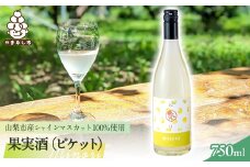 ＜山梨市産シャインマスカット100%使用＞ 農(みのり)果実酒ピケット＜さわやかな微炭酸!＞【1474746】