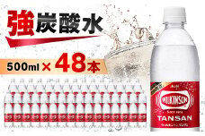 炭酸水 ウィルキンソン タンサン 500ml 24本2箱 計48本 アサヒ飲料 強炭酸水ペットボトル_ ふるさと納税 ふるさと 炭酸 炭酸水 炭酸飲料 飲料 山梨県 山梨市 山梨 人気 送料無料【1491077】
