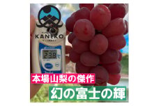 ＜超希少なレア品種＞ごく限られた生産者しか許されない贈答プレミアム富士の輝2025年9月下旬より発送【1495734】