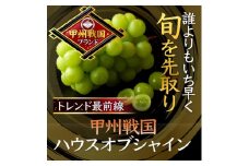 ＜旬を先取り＞最高糖度20度オーバー贈答用プレミアム甲州戦国ハウスオブシャイン2026年6月中旬発送【1494213】