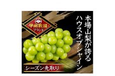 ＜本場山梨の旬を堪能＞今、話題のハウスオブシャインマスカット全国に先駆け2026年6月中旬発送【1494995】