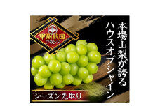 ＜唯一無二の逸品＞ココだけしか味わえない幻のハウスオブシャインマスカット2025年6月下旬より発送【1494998】