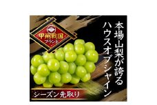 ＜1年で今しか食べられない＞幻のハウスオブシャインマスカット心行くまで堪能2026年6月上旬発送【1495005】