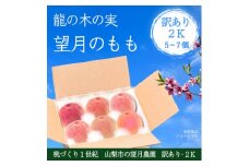 ＜2026年先行予約＞訳あり桃・2K(5~7個)「龍の木の実 望月のもも」【1495639】
