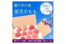 ＜2026年先行予約＞訳あり桃・3K(7~10個)「龍の木の実 望月のもも」【1495641】