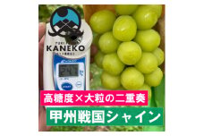 ＜今逃せば1年待ち＞生産量日本一が誇る甲州戦国シャインマスカットプレミアム2025年9月下旬より発送【1495755】