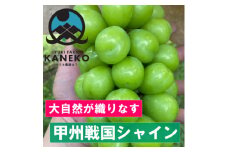 ＜葡萄生産量日本一＞本場山梨の大自然が生み出した甲州戦国シャインマスカット2025年9月中旬より発送【1495757】