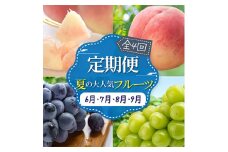 ＜発送月固定定期便＞山梨県産夏の大人気フルーツ＜早生桃・桃・巨峰・シャインマスカット＞全4回_ もも ぶどう 桃 ブドウ フルーツ 果物 セット 贈答 ギフト プレゼント 送料無料 【4012893】