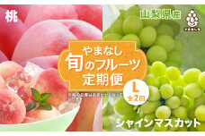 ＜発送月固定定期便＞やまなし旬のフルーツ定期便(桃・シャインマスカット)＜L＞全2回_ もも ぶどう ブドウ 山梨 フルーツ 果物 くだもの セット 贈答 ギフト プレゼント 送料無料 【4012929】