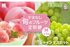 ＜発送月固定定期便＞やまなし旬のフルーツ定期便(桃・シャインマスカット)＜M＞全2回_ もも ぶどう ブドウ 山梨 フルーツ 果物 セット 贈答 ギフト プレゼント 産地直送 送料無料 【4012930】