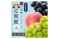 ＜発送月固定定期便＞山梨県産旬のおいしいフルーツ＜桃・巨峰・シャインマスカット＞定期便 全3回_ フルーツ くだもの 果物 もも ぶどう 定期便 産地直送 贈答 ギフト 旬 季節限定 送料無料 セット 【4013020】