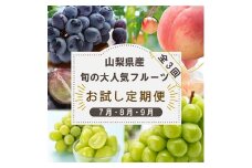 ＜発送月固定定期便＞山梨県産旬の大人気フルーツ＜桃・巨峰・シャインマスカット＞お試し定期便 全3回_ もも ぶどう フルーツ 果物 セット ギフト 産地直送 【4013021】