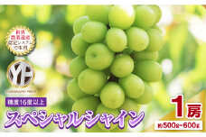 フルーツ王国山梨産厳選 シャインマスカット 1房(約500-600g)【1501766】