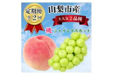 ＜発送月固定定期便＞山梨夏の味覚定期便〈桃 1.8kg/シャインマスカット 1.1kg以上〉全2回_ フルーツ 果物 もも ぶどう くだもの 人気 旬 詰め合わせ セット 贈答 ギフト プレゼント 産地直送 定期便 【4050337】
