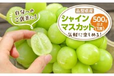 山梨市 シャインマスカット1房(500g以上) 化粧箱入り【1505235】