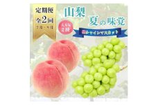 ＜発送月固定定期便＞山梨夏の味覚定期便〈桃 約2kg/シャインマスカット 1.1kg以上〉全2回_ フルーツ 果物 くだもの もも ぶどう 人気 旬 詰め合わせ セット 贈答 ギフト プレゼント 産地直送 送料無料 【4050317】