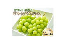 朝採れシャインマスカット 2.5kg (3～6房) 山梨県山梨市　数量限定【1505418】