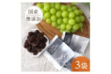 山梨県産シャインマスカットのレーズン 30g×3袋 無添加、砂糖不使用のおやつ＜オイルフリー＞【1507171】