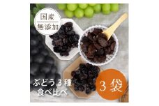 シャインマスカット 巨峰 ピオーネ のレーズン 30g×3袋 食べ比べセット 無添加、砂糖不使用【1508439】