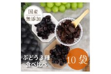 シャインマスカット 巨峰 ピオーネ のレーズン 30g×10袋 食べ比べセット 無添加、砂糖不使用【1508446】