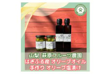 山梨 はぎふる　≪自社農園産≫手摘みオリーブオイル と ≪自家製≫オリーブ塩漬け　各2本セット【1486152】