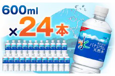アサヒ「おいしい水」バナジウム天然水 富士山600ml 1箱(24本入り)軟水 ペットボトル  防災【1501646】