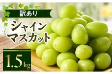 やまなし内藤農園の＜訳あり＞シャインマスカット 1.5kg【1513177】