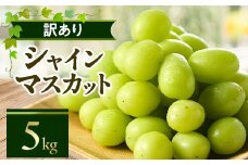 やまなし内藤農園の＜訳あり＞シャインマスカット 5kg【1513206】