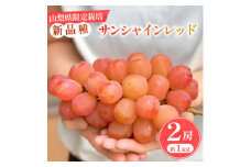 ＜数量限定＞山梨県産 希少品種「サンシャインレッド」2房約1kg  化粧箱入 赤いシャインマスカット【1515302】