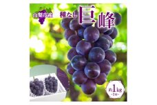 濃厚な味わいが特徴!「山梨県山梨市産の巨峰 2房 約1kg」【1513024】