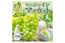 果汁あふれるジューシーな「山梨市産 シャインマスカット 1房 約700g」【1513031】